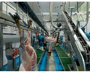 臥式羊預(yù)剝線